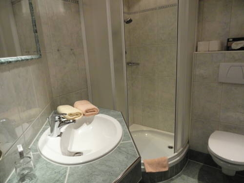 Imagen general del Hotel Eisbacherhof. Foto 8