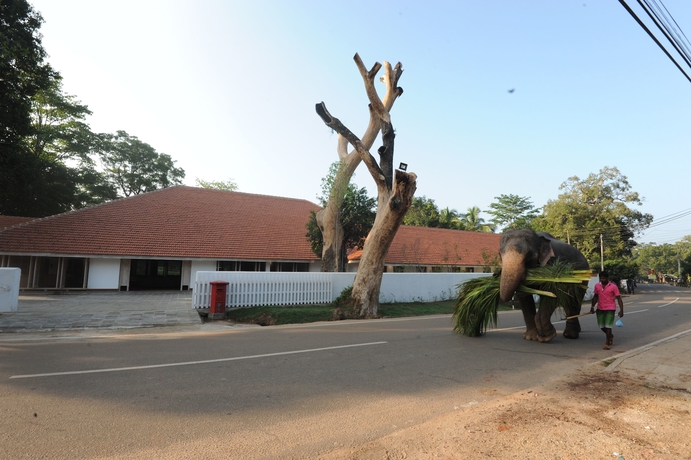 Imagen general del Hotel Ekho Sigiriya. Foto 4