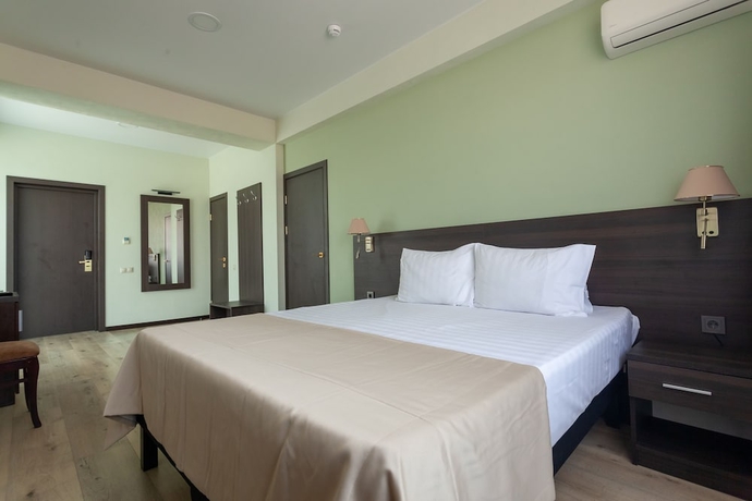 Imagen de la habitación del Hotel Ekodom Adler and Spa. Foto 6