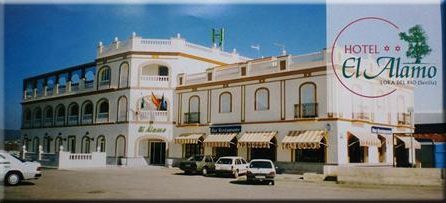 Imagen general del Hotel El Alamo, Lora del R&iacute;o. Foto 9