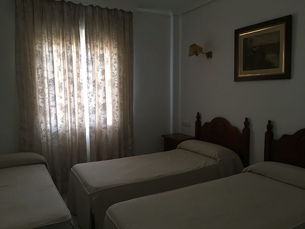 Imagen general del Hotel El Alamo, Lora del R&iacute;o. Foto 4