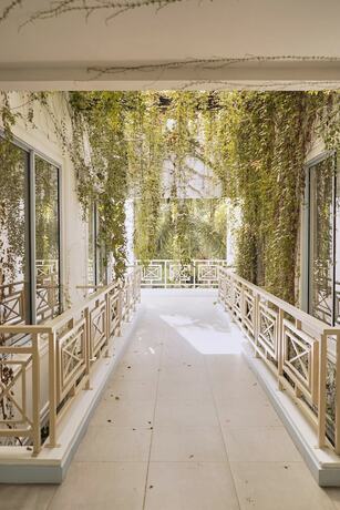 Imagen general del Hotel El Bosque Boutique. Foto 5