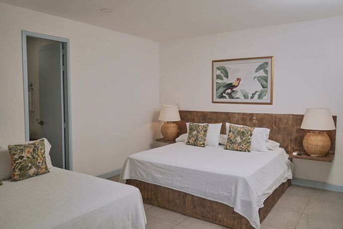 Imagen de la habitación del Hotel El Bosque Boutique. Foto 15