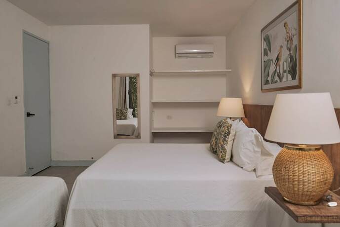 Imagen general del Hotel El Bosque Boutique. Foto 7