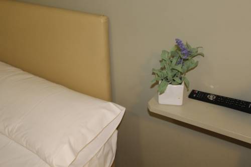 Imagen de la habitación del Hotel El Camino Urban Rooms. Foto 2