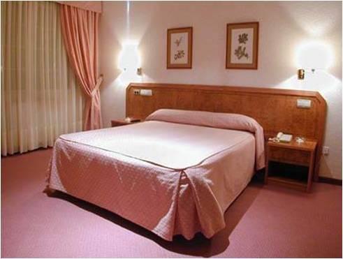 Imagen de la habitación del Hotel El Ciervo De Xares. Foto 4