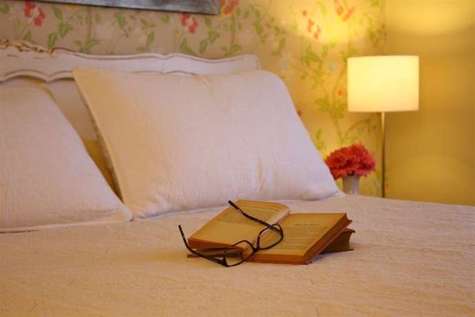 Imagen de la habitación del Hotel El Ciervo, Villarrica. Foto 4