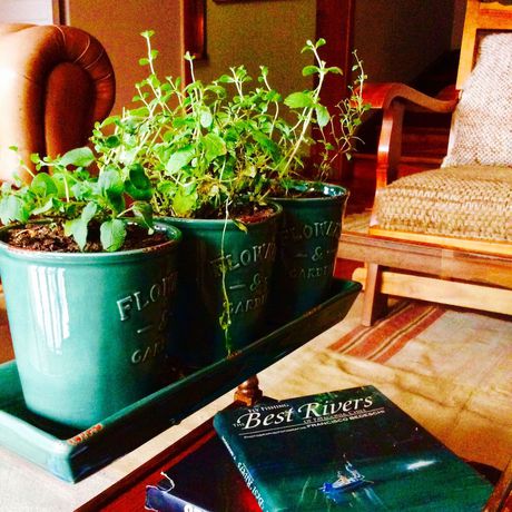 Imagen de los interiores del Hotel El Ciervo, Villarrica. Foto 20