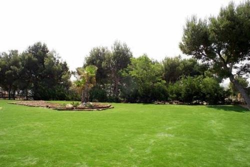 Imagen general del Hotel El Cisne, Zaragoza. Foto 9