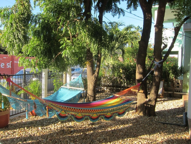 Imagen de los exteriores del Hotel El Coco Azul. Foto 6