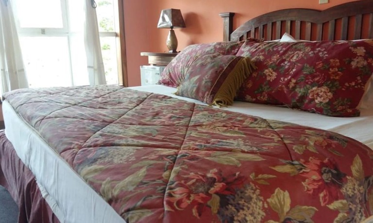 Imagen general del Hotel El Delfin, Livingston. Foto 6