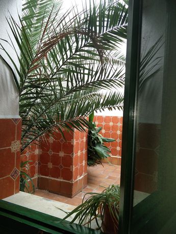 Imagen de la habitación del Hotel El Diamantista. Foto 19