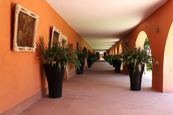 Imagen general del Hotel El Diezmo. Foto 2