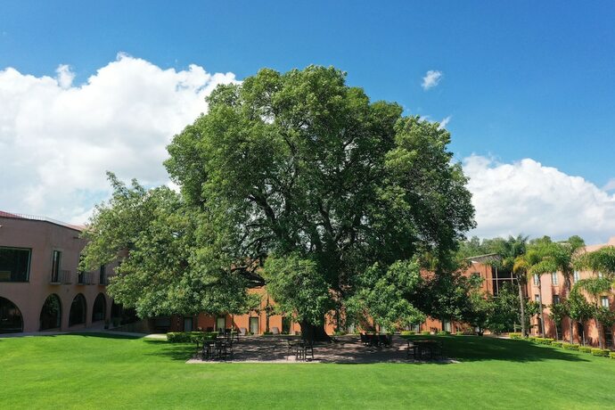 Imagen general del Hotel El Diezmo. Foto 3