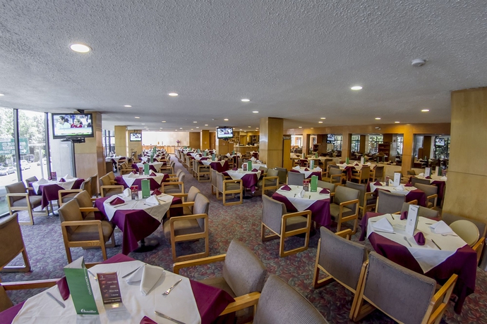 Imagen del bar/restaurante del Hotel El Diplomatico. Foto 2