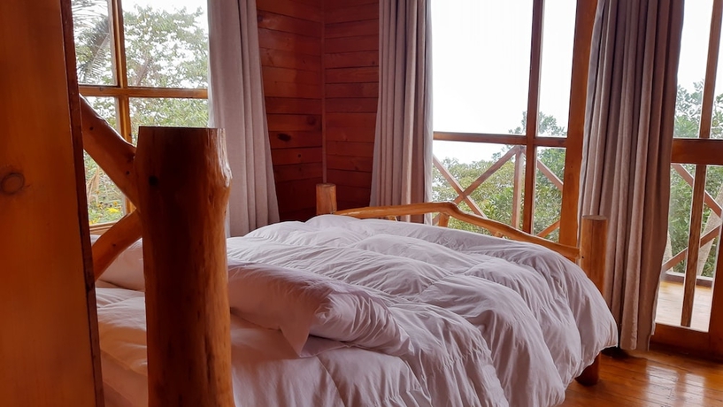 Imagen de la habitación del Hotel El Dorado Nature Reserve. Foto 7