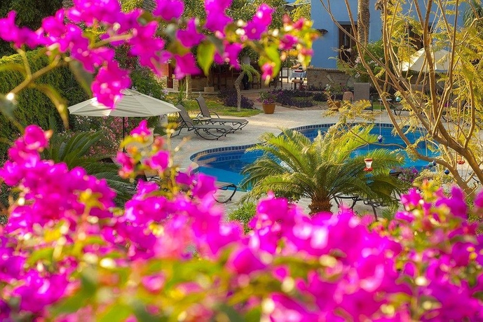 Imagen general del Hotel El Encanto Inn and Suites. Foto 10