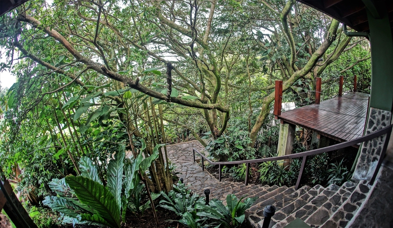 Imagen de los interiores del Hotel El Establo Mountain. Foto 15