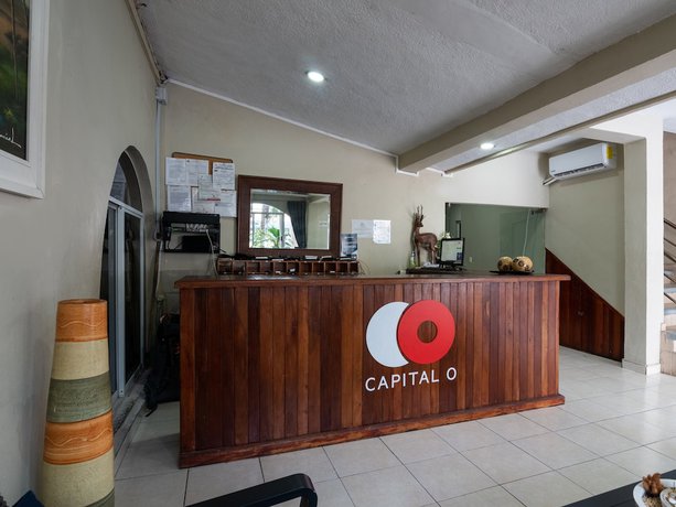 Imagen de los interiores del Hotel El Faisan y El Venado. Foto 17
