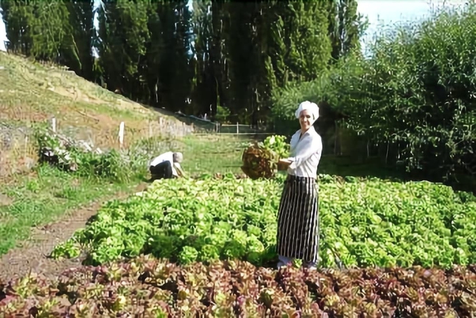Imagen de los exteriores del Hotel El Galpon Del Glaciar. Foto 15