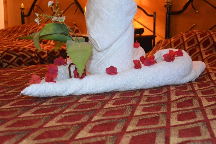 Imagen de la habitación del Hotel El Gezira Gardens. Foto 9