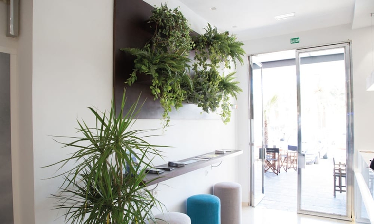 Imagen de los interiores del Hotel El Globo. Foto 15