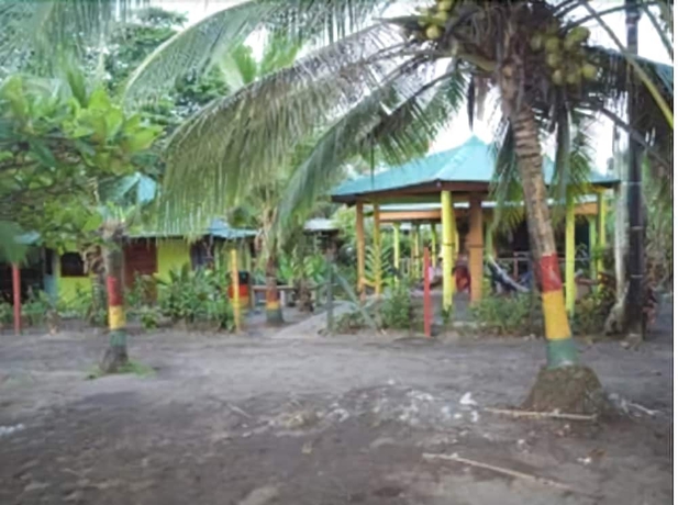 Imagen de los exteriores del Hotel El Icaco Tortuguero. Foto 11