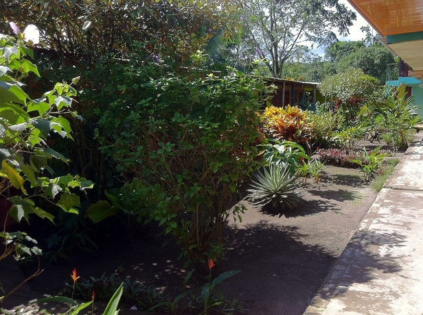 Imagen de los exteriores del Hotel El Icaco Tortuguero. Foto 13