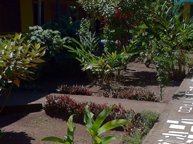 Imagen de los exteriores del Hotel El Icaco Tortuguero. Foto 14