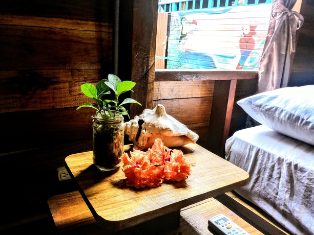 Imagen de la habitación del Hotel El Jaguar. Foto 8