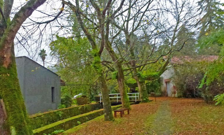 Imagen de los exteriores del Hotel El Jardín De Carrejo. Foto 17