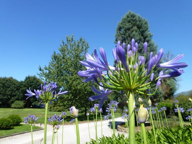 Imagen general del Hotel El Jardín De Carrejo. Foto 8