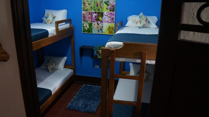 Imagen general del Hotel El Jardin De La 10 - Hostel. Foto 6