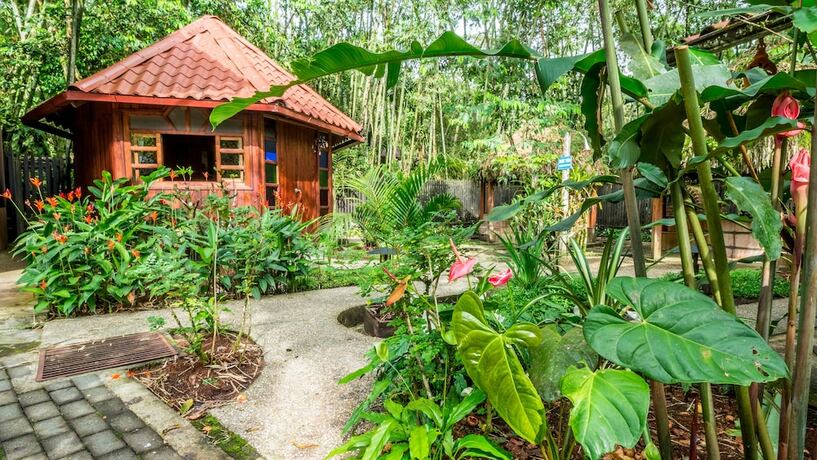 Imagen de la habitación del Hotel El Jardin Relax. Foto 20