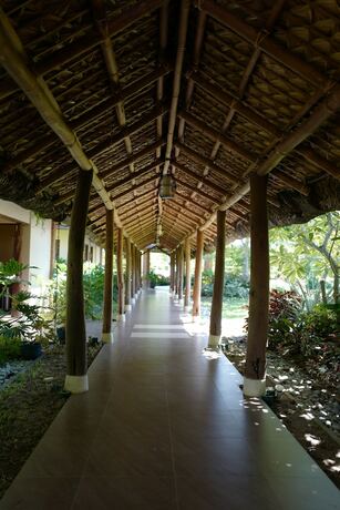 Imagen general del Hotel El Jardin de Zaida. Foto 5