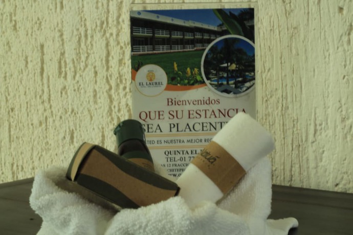 Imagen de la habitación del Hotel El Laurel Boutique. Foto 5