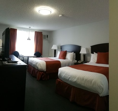 Imagen de la habitación del Hotel El Lobo Motel. Foto 12