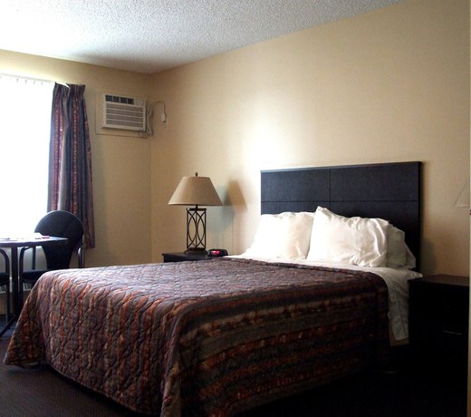 Imagen de la habitación del Hotel El Lobo Motel. Foto 13