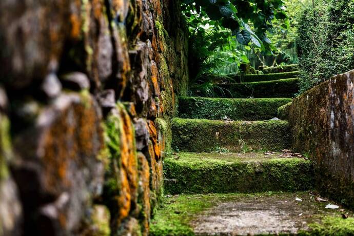 Imagen general del Hotel El Molino de Bonaco. Foto 6