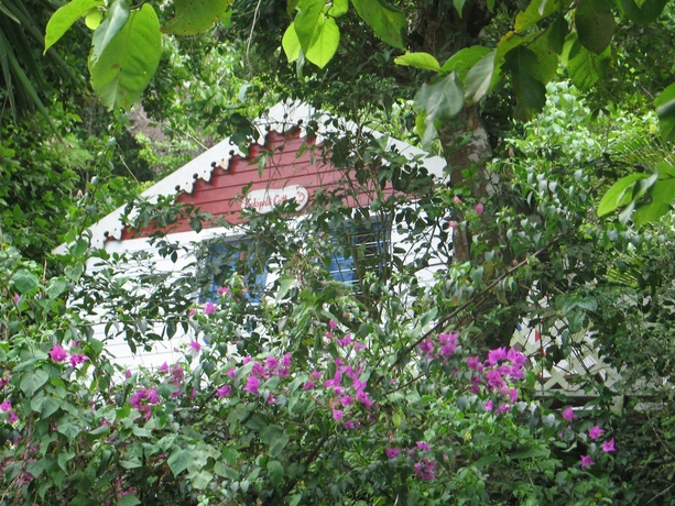 Imagen de los exteriores del Hotel El Momo Cottages. Foto 6