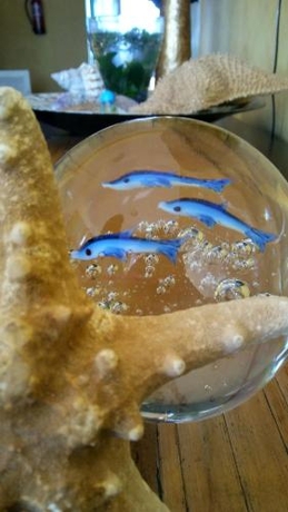 Imagen general del Hotel El Panorama. Foto 7