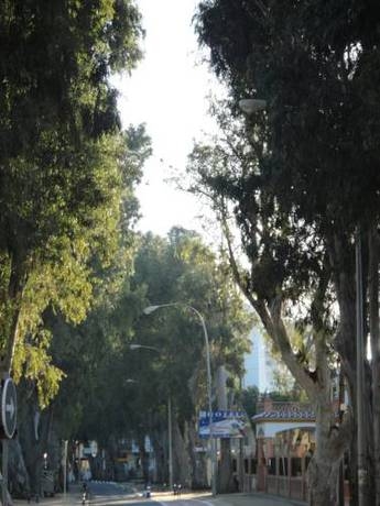 Imagen general del Hotel El Paraiso Playa. Foto 5