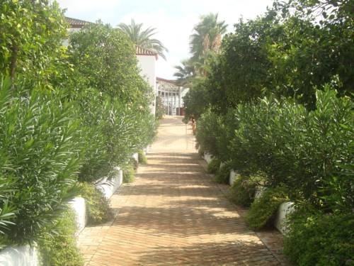 Imagen general del Hotel El Pilar, La Carlota. Foto 8