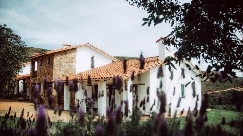 Imagen general del Hotel El Pueblito Resort. Foto 4