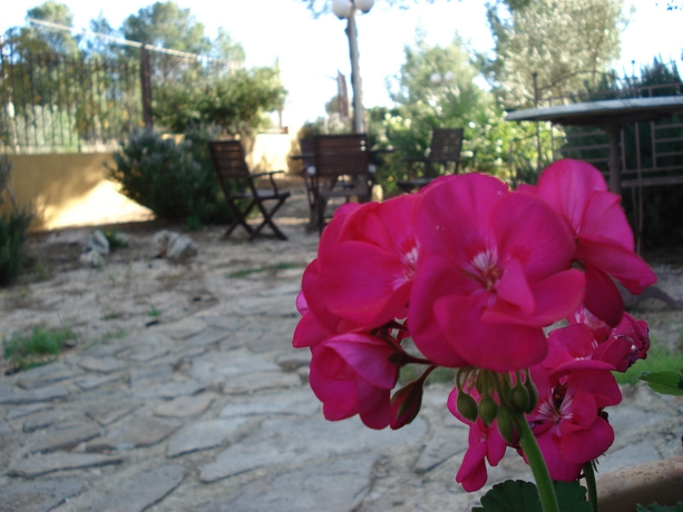 Imagen de los exteriores del Hotel El Racó De La Pintora - Adults Only. Foto 9