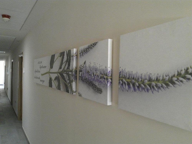 Imagen general del Hotel El Raposo. Foto 3