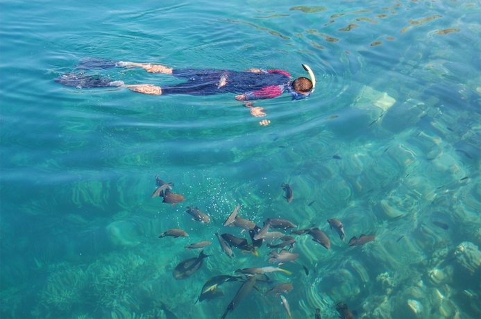 Imagen general del Hotel El Rio Y Mar Resort. Foto 3