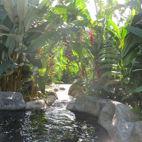 Imagen de la piscina del Hotel El Silencio Del Campo. Foto 13