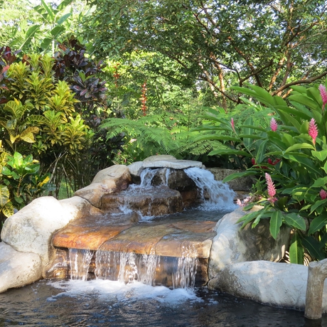 Imagen de la piscina del Hotel El Silencio Del Campo. Foto 15