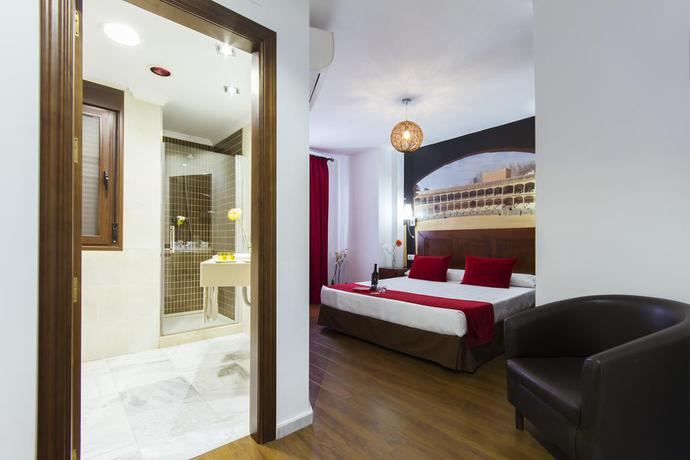 Imagen de la habitación del Hotel El Tajo and Spa. Foto 7